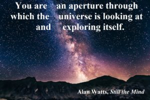 Picture of stars and the milky way with the quote "You are an aperture through which the universe is looking at and exploring itself." Alan Watts, Still the Mind